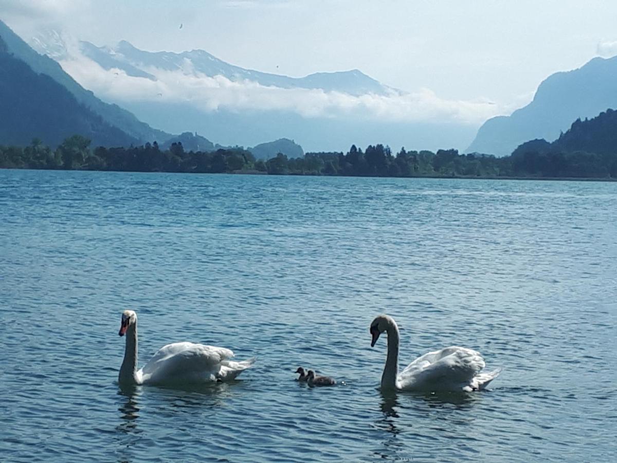 Berner Oberland Am Thunersee Därligen Dış mekan fotoğraf