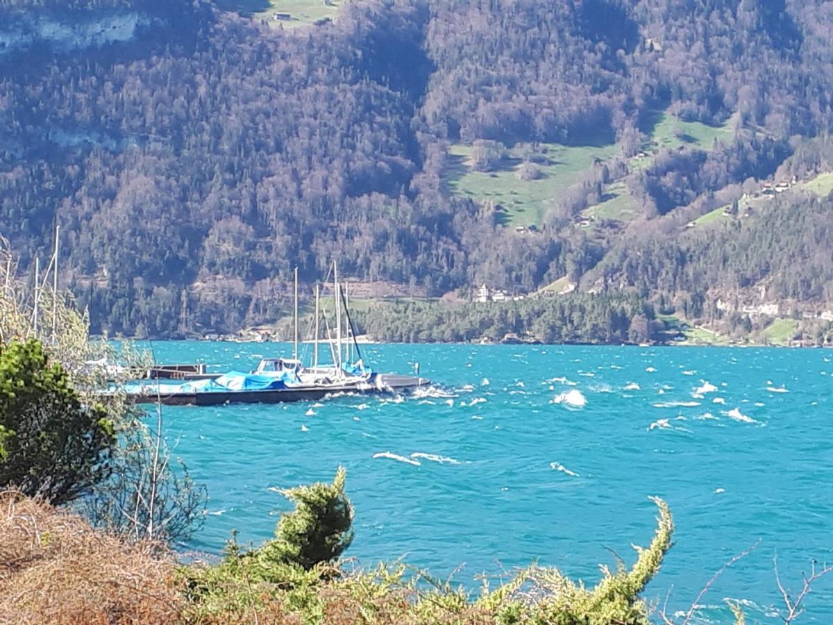 Berner Oberland Am Thunersee Därligen Dış mekan fotoğraf